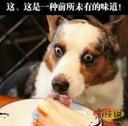 妹子咪咪都融化成平胸了囧图想不火不难噻图片36游侠图库
