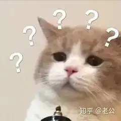 要去哪里才能找到病娇男朋友