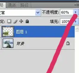 ps套索怎么抠图拖到另一张图怎么改变透明度