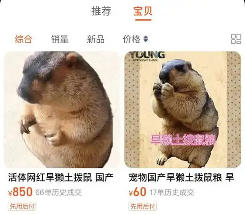 土拨鼠上架电商平台,专家有传播鼠疫风险