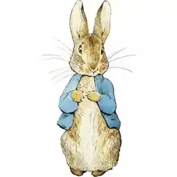 当下最火的比得兔,了解一下