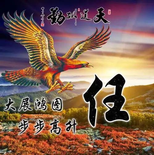 微信头像,天道酬勤雄鹰展翅励志姓氏头像,天高地阔任我翔