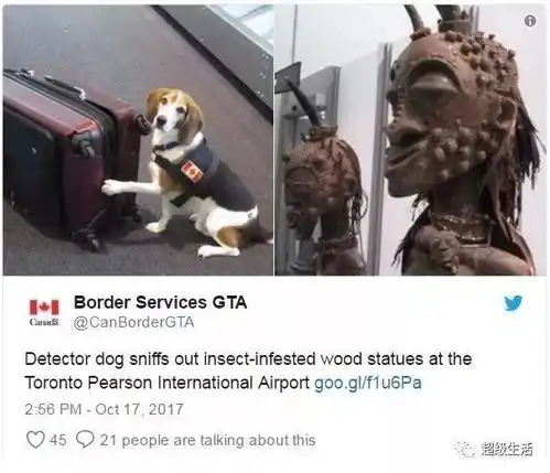 海关安检在行李里面发现婴儿竟是保姆偷了雇主家孩子...