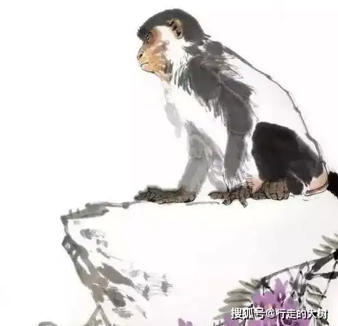 哪3个生肖,不管去年多不顺,今年收入也不低,有希望大获全胜