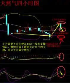 金市诸葛美国狼子野心暴露,美土两国关系剑拔弩张