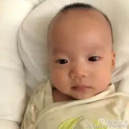 范玮琪晒双胞胎儿子萌照兄弟俩表情逗趣可爱十足