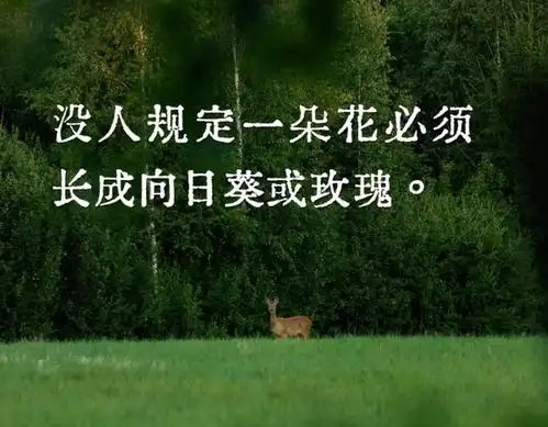 山不让尘川不辞盈,你一定行愿你银鞍照白马,飒沓如流星网易订阅