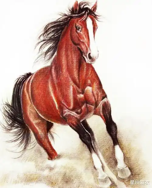 7月开始锦鲤翻身,家有这3生肖赢得先机,事业兴旺,喜事围绕