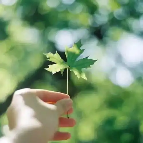 朗诵懂你的人,一个就够了