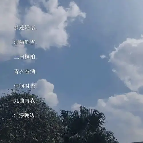 测试一个超长简介的文章