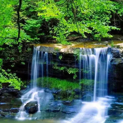 生活讲究仪式感,礼多人不怪,礼轻情谊重,人生要有仪式感才神圣