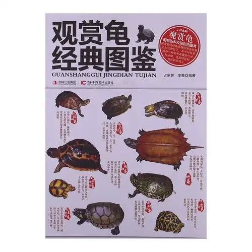观赏龟经典图鉴