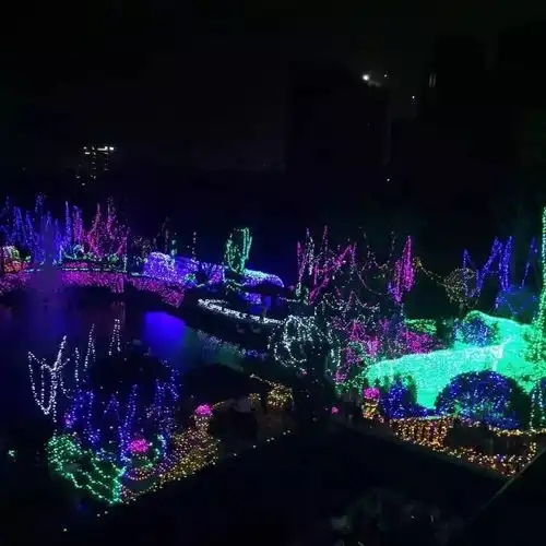 乐山超浪漫梦幻灯海艺术展,万张门票免费送