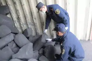 上海热线hot新闻1075吨洋垃圾被查扣形状各异