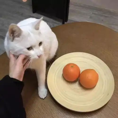 凭什么好聚好散你以为我动心一次容易吗
