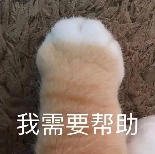 精品文学