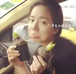化妆赛明星,素颜丑过凤姐,这个泥石流网红逆天了