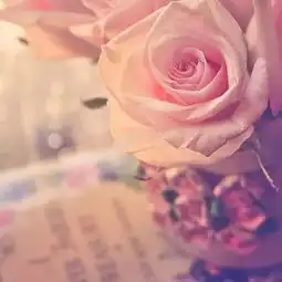 情人节整个朋友圈都在秀恩爱撒狗粮,你们考虑单身狗的感受了嘛