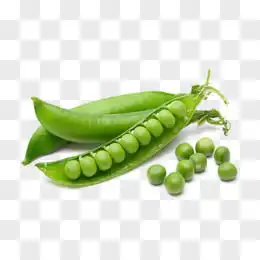 豌豆图片素材免费豌豆png设计图片大全图精灵