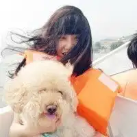 测试一个超长简介的文章