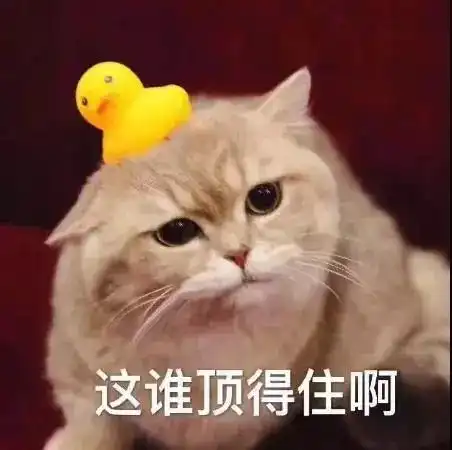 真情告白这是手机里最近一张关于你的照片