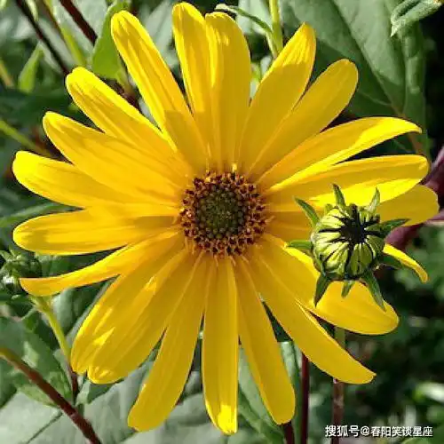 让人百读不厌的人生感悟短语,深刻有内涵,引人深思