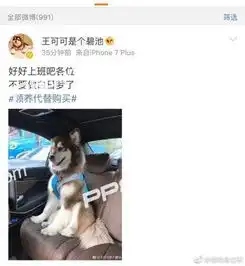 王可可是个碧池真实身份曝光一览微博账号王可可是个碧池和王思聪什么关系
