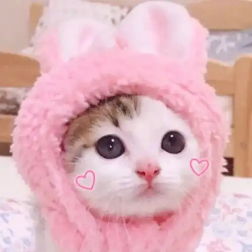 11.26小头像壁纸