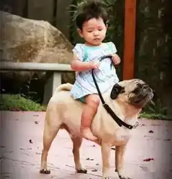 内黄的宝宝们,小时候那些大人骗小孩子的话,你还记得多少