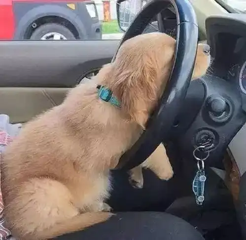 周末快乐送你几个笑话,笑了一上午,太有才了哈哈哈