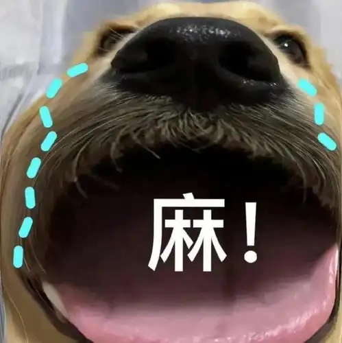 超级无敌极品沙雕搞笑表情包