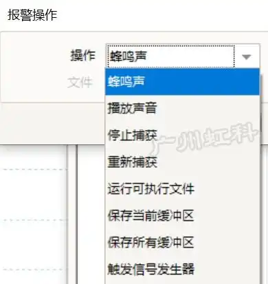 picoscope7软件报警功能可实现自动保存和循环捕捉