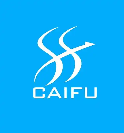 上海彩付网络科技有限公司
