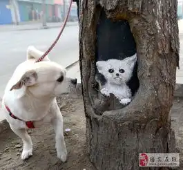 精选图片帖第231页