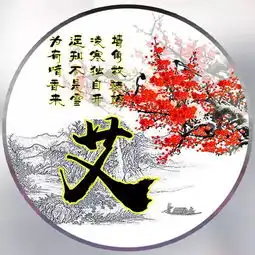 微信头像姓氏头像,超好看的梅花图个性设计,做头像太好看了