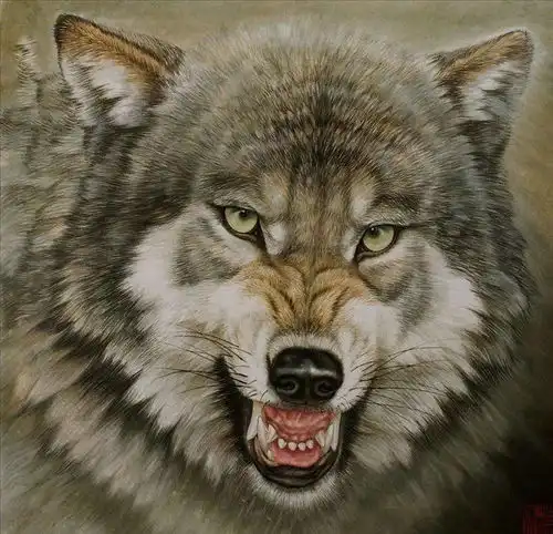 可以杀狼的猛犬,各个都是狠角色,战斗力爆表