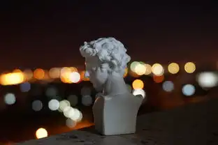 小石膏卫