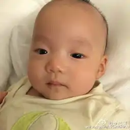 范玮琪晒双胞胎儿子萌照兄弟俩表情逗趣可爱十足