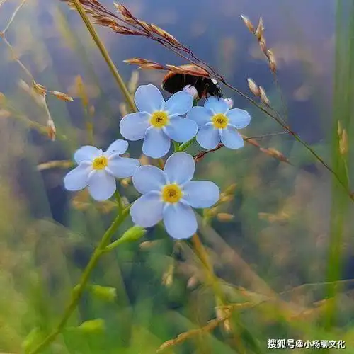朋友圈早安唯美语录,句句蕴含正能量