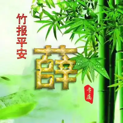 测试一个超长简介的文章