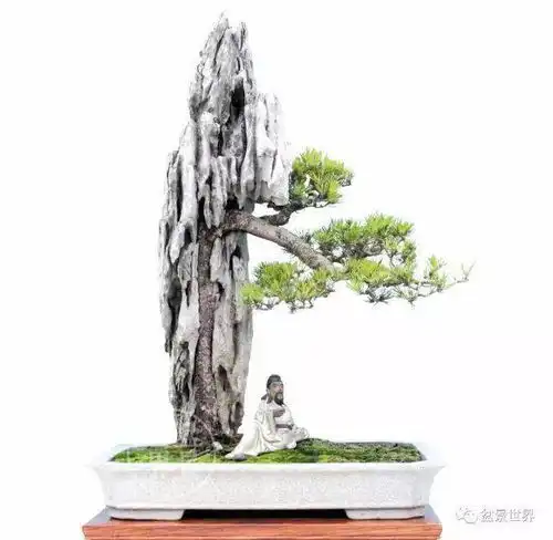附石旗手