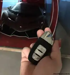 中国富豪出售天价兰博毒药身价翻三倍