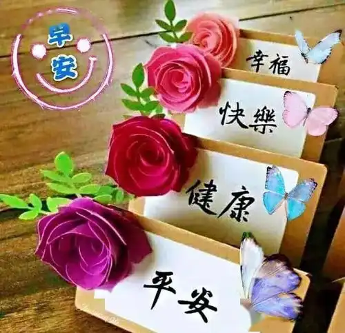 朋友圈清晨暖心祝福问候图片,唯美鲜花早上好温馨祝福语录