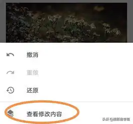 怎么拍,照片主体更突出这4个摄影技巧,你知道吗