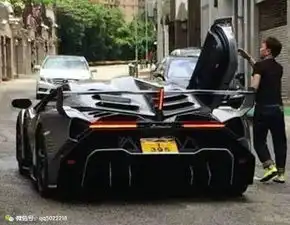 甄子丹和林保怡见到这车都要合影,比拉法贵好几倍