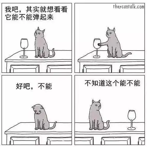 喵星人手贱怎么破