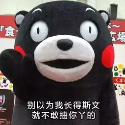 虽然我是个老实人,但我也不是好欺负的熊本熊斗图表情包搞笑图片