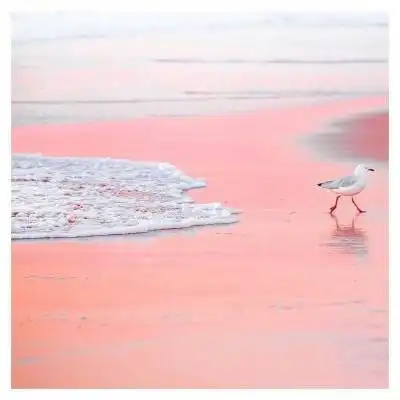 测试一个超长简介的文章