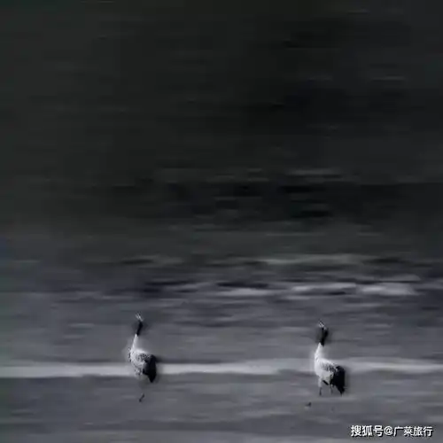 测试一个超长简介的文章