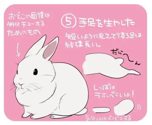 怎么去画一只超可爱的兔子